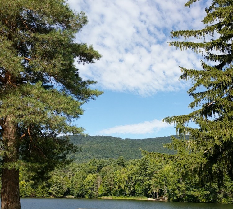 lake-shaftsbury-state-park-forestry-department-photo